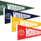 Campus Pennants (Small)